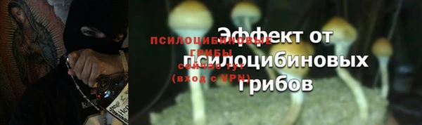 первитин Арсеньев