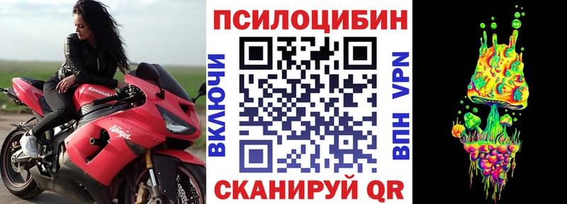 Псилоцибиновые грибы Psilocybe  Онега 